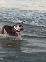 Agnes at Jax Beach.webp