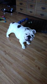 IMG_20170912_145320.jpg