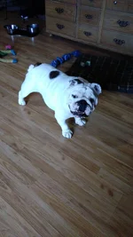 IMG_20170912_145320.webp