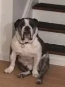 zeus.webp