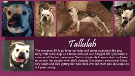 tallulah.jpg tallulah.jpg