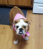 20160929_180443.webp 20160929_180443.webp
