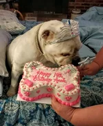 Annie cake.webp