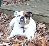 riley.webp riley.webp