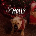 molly.webp