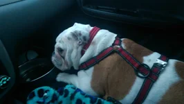 IMAG0058.webp