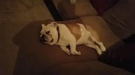 0217 - Aint moving.webp