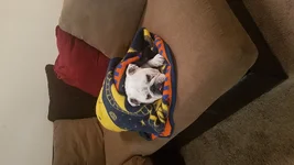 1216 - In Burrito.webp