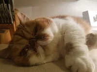 20160617_233102[1].webp