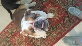 20161002_130916.webp