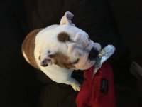 image.jpeg image.jpeg