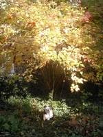 RIMG0414.webp RIMG0414.webp