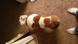 0317 - Waist From Above.webp