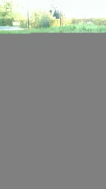 IMAG0006.webp