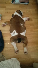 IMAG0847.webp