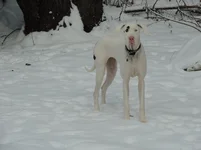 DSCN8348.webp