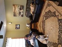 20170314_123334.webp