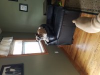 20170225_142248.jpg 20170225_142248.jpg