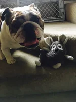 Nigel 6th Bday.webp