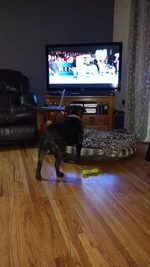 IMG_20161126_212413886.webp