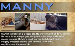 Manny.webp