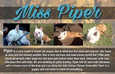piper.webp