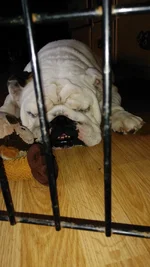 IMG_20170328_160146.webp