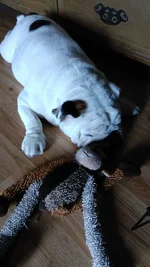 IMG_20170328_160104.webp