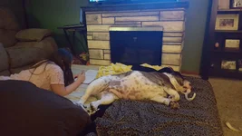 20170329_204101.webp