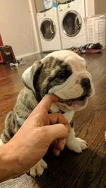 IMG_20170330_195704.webp