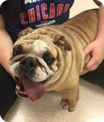 cubby.jpg cubby.jpg