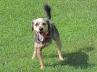DSCN8196.webp