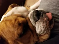 20180314_195012.webp