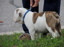 Rosie first day 036.webp