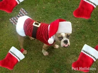 image.webp