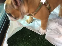 2017-09-21 12.47.57.webp