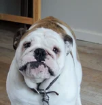 DSCN7828.webp