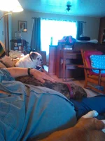 IMG_2017-06-16_19-37-10.webp IMG_2017-06-16_19-37-10.webp