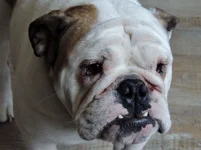 DSCN7829.webp