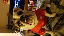 20161030_131059.webp
