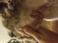 20170924_213205.webp