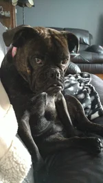 Wut ya want.webp