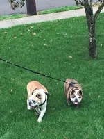 big boy & angel.webp big boy & angel.webp