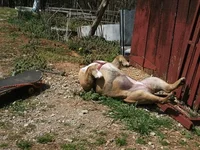 fun in the sun.webp