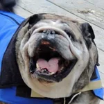 10947231_10205467036386988_8538491585776548585_n.webp