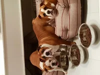 20170927_022308.webp