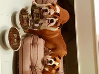 20170927_221504.webp