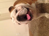 IMG_2350.JPG IMG_2350.JPG