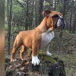 Russian Bulldogs 20170927_232606.webp