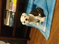20170213_060106_HDR.webp